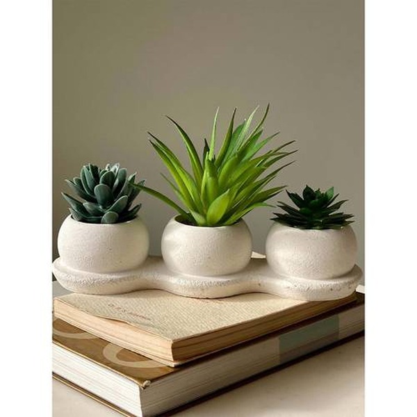 Plants & Planters