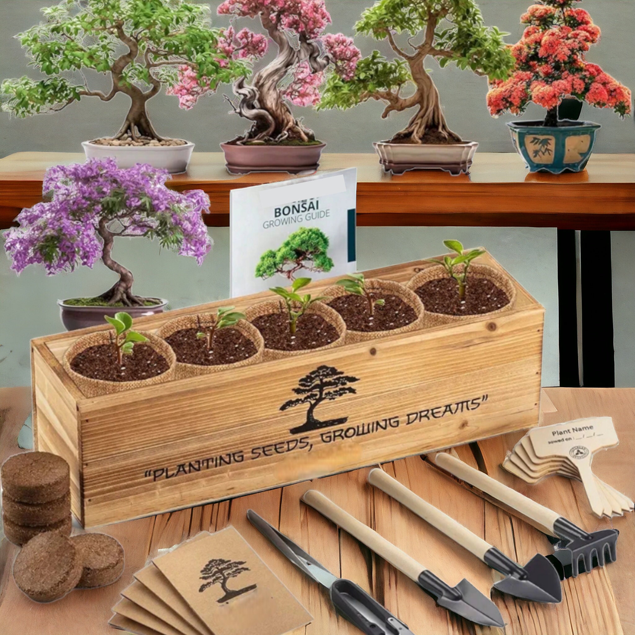 Bonsai Starter Kit